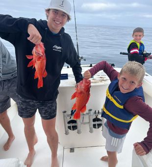 Chasing red rockfish in San Diego Bay.